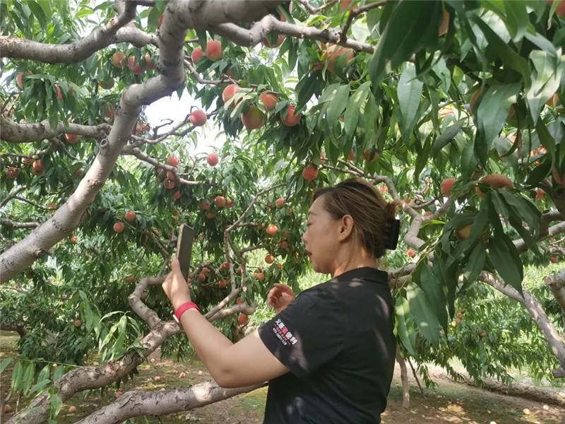 寰俊鍥剧墖_20220927141800.jpg 寰俊鍥剧墖_20220927141800.jpg